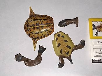 Amazon.co.jp: 単品 UHA味覚糖 チョコラザウルス DINOTALES 第1